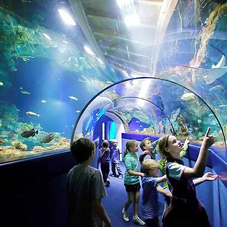 Mercure Holland House Szálloda